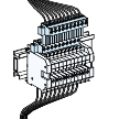 Linergy TA: redne kleme za pomocnu opremu, 4mm2, set od 10 kom. 